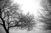 Winter's Spell