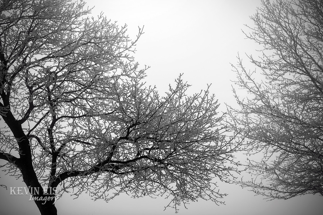 Winter's Spell 1