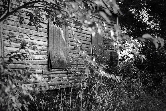 July Barn 1