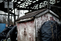 Junkyard