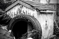 Junkyard 5