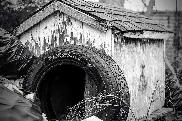 Junkyard 5