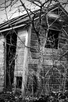 Junkyard 14