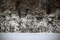 Winter's Spell 13