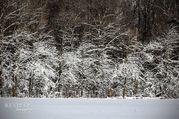 Winter's Spell 13