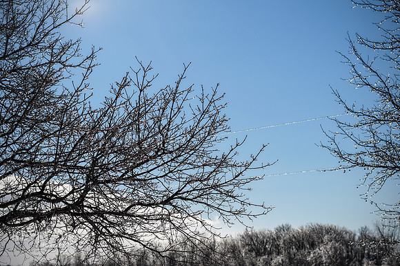 Winter's Spell 15