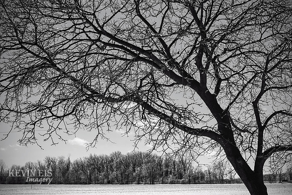 Winter's Spell 18
