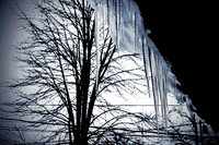 Winter's Spell 9