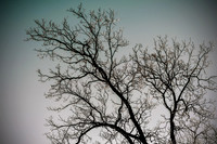 Winter's Spell 3