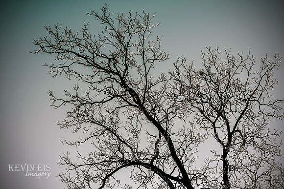 Winter's Spell 3