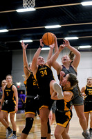 Basketball 2023-24 1