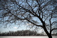 Winter's Spell 19