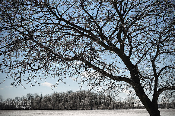 Winter's Spell 19