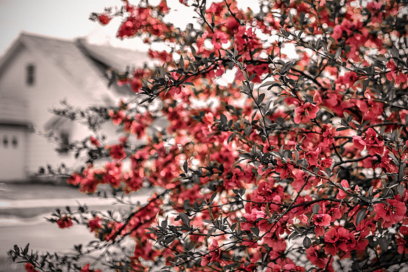Hint Of Spring