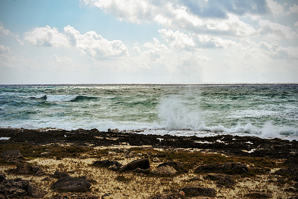 Ocean Vibes