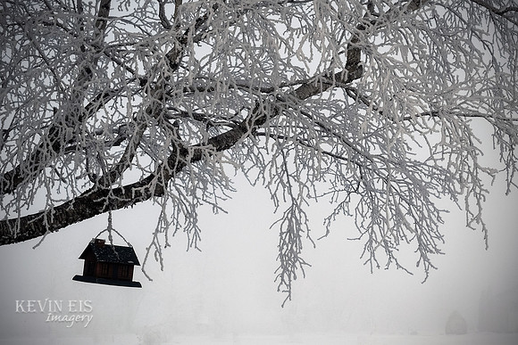Winter's Spell 4