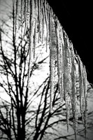 Winter's Spell 11