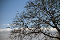 Winter's Spell 14