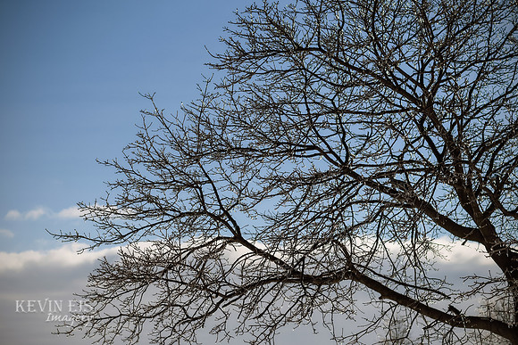 Winter's Spell 14