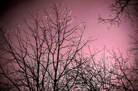 Winter's Spell 6