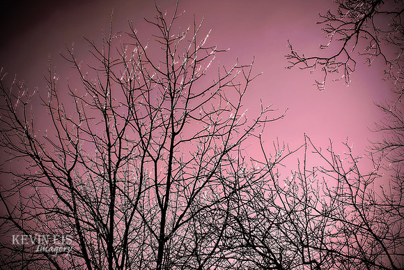 Winter's Spell 6