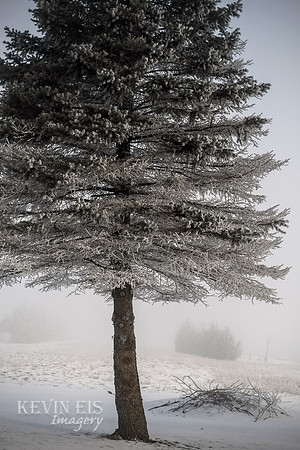 Winter's Spell 8