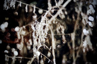 Melted Nothingness