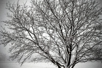 Winter's Spell 5