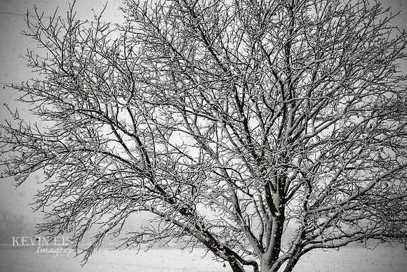 Winter's Spell 5